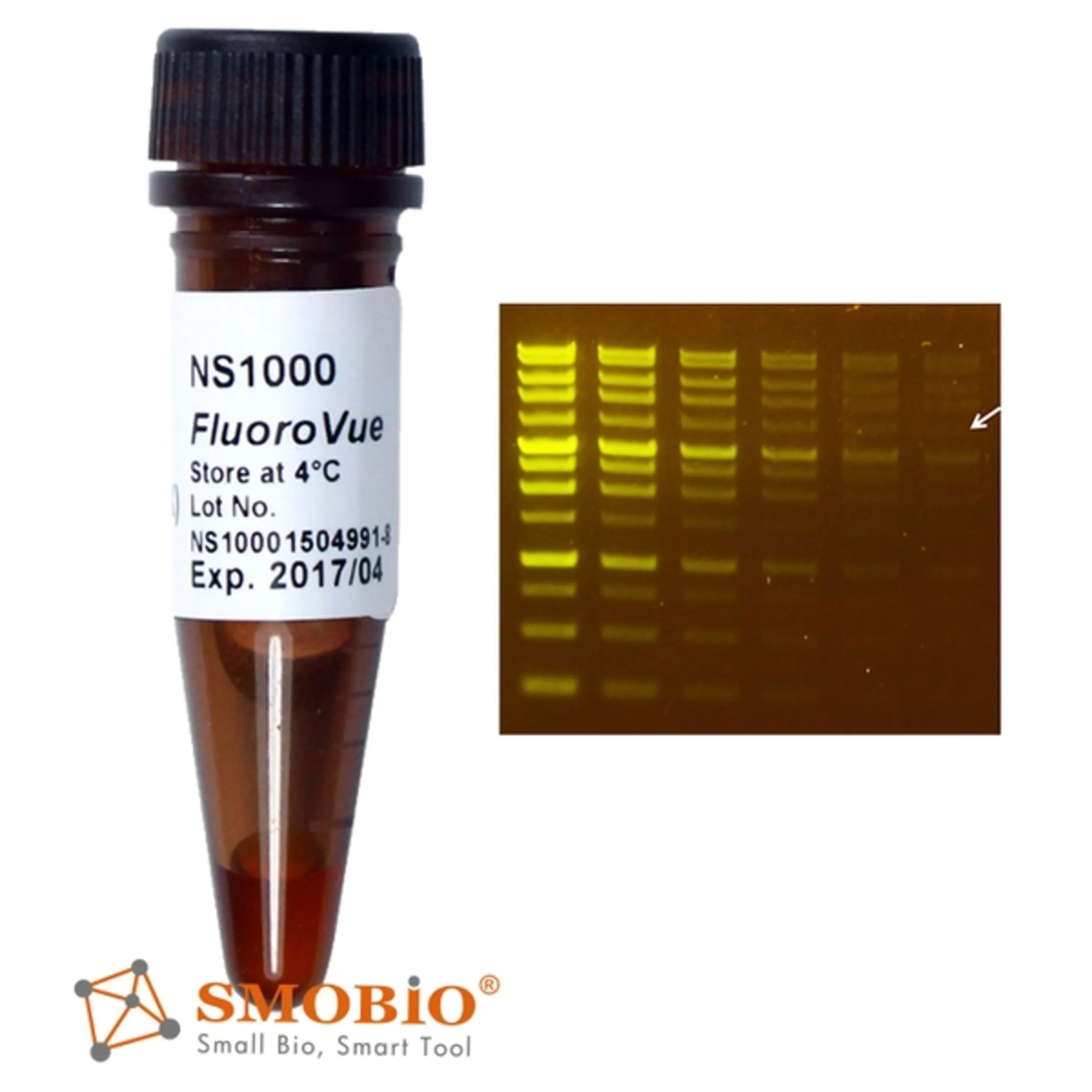 SMOBIO-DNA-Staining-Dye-NS1000 رنگ DNA برای ژل (Safe Stain) kalazist کالا زیست